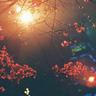  free online slots solstice by konami Tanda Tidak ada cara lain daripada memukul